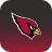 Arizona Cardinals