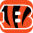 Cincinnati Bengals